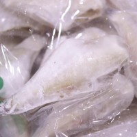 馬面魚耗兒魚剝皮魚扒皮魚冷凍干火鍋整箱帶冰12斤50-100