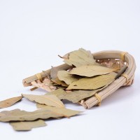 香葉產(chǎn)地貨源現(xiàn)貨批發(fā)優(yōu)選大片特綠月桂葉增味提香燉肉調(diào)味香辛料