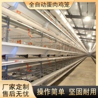 大層疊肉雞籠養(yǎng)雞設(shè)備加密加粗全自動(dòng)化養(yǎng)殖籠具熱鍍鋅蛋雞籠