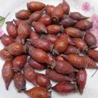 金櫻子今日?qǐng)?bào)價(jià) 亳州中藥材金櫻子供應(yīng)