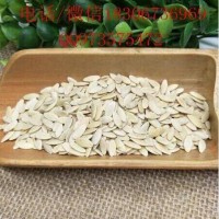 中藥材批發(fā)黃瓜籽 黃瓜籽的價(jià)格