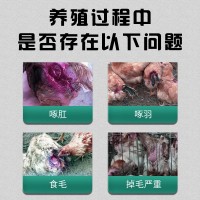 家禽通用 袋裝2kg金微寶 庫(kù)存充裕禽用微量元素預(yù)混合飼料