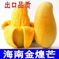 小臺芒
