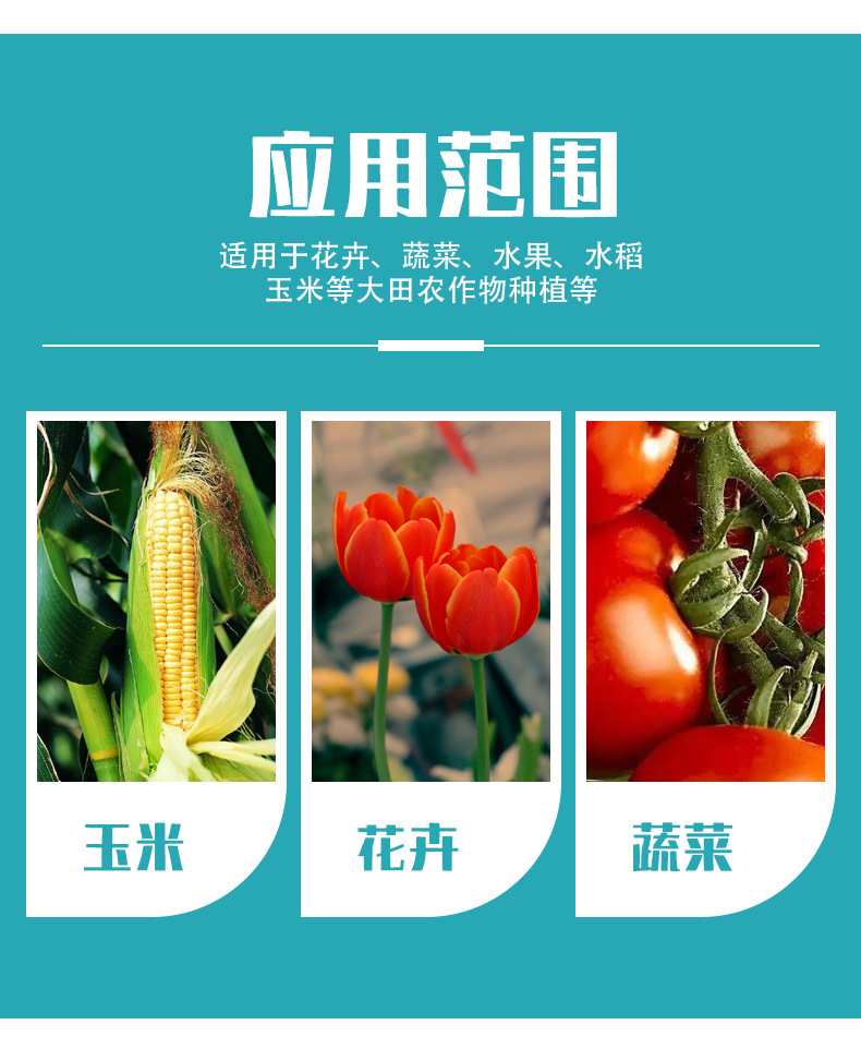 硝酸銨鈣_08