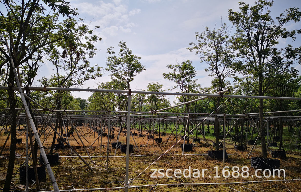 南粵園林750長.jpg