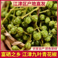 青花椒江津九葉青花椒保鮮批發(fā)清花椒粒50g裝新鮮嫩藤椒生麻椒