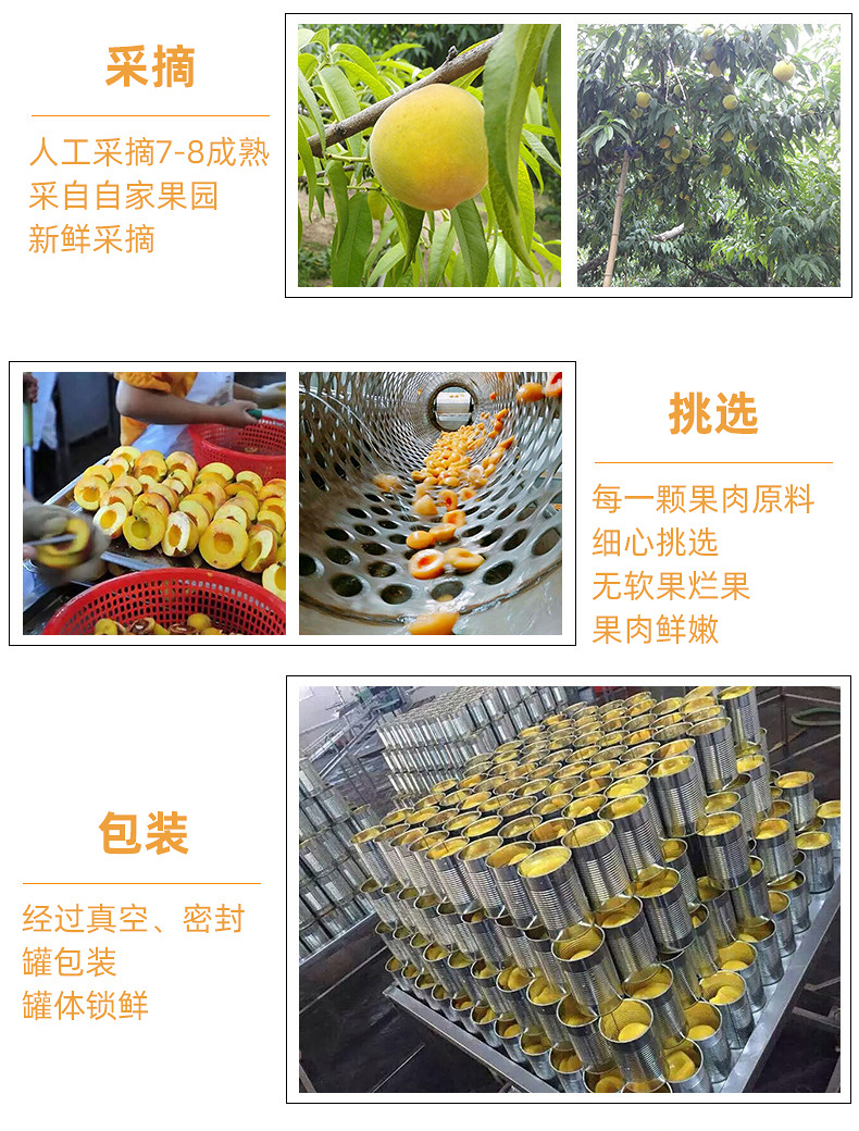 科信詳情_17