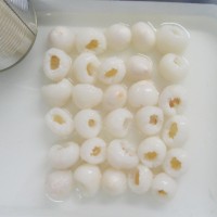 糖水荔枝水果罐頭300g*6罐/箱廠家直銷批發(fā)可出口內(nèi)銷帖牌招商