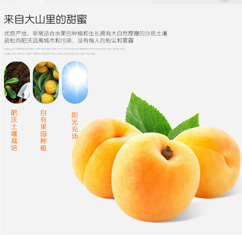 罐頭_02