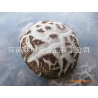西陜野生散貨干香菇批發(fā)當(dāng)年加工貯存干貨西峽出口干香菇