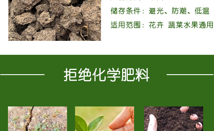 曬干牛糞_05.jpg
