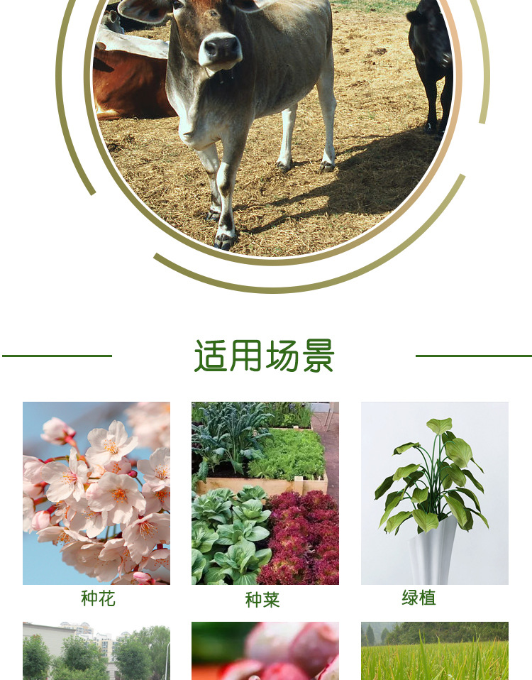 柱狀有機(jī)肥詳情_(kāi)09.jpg
