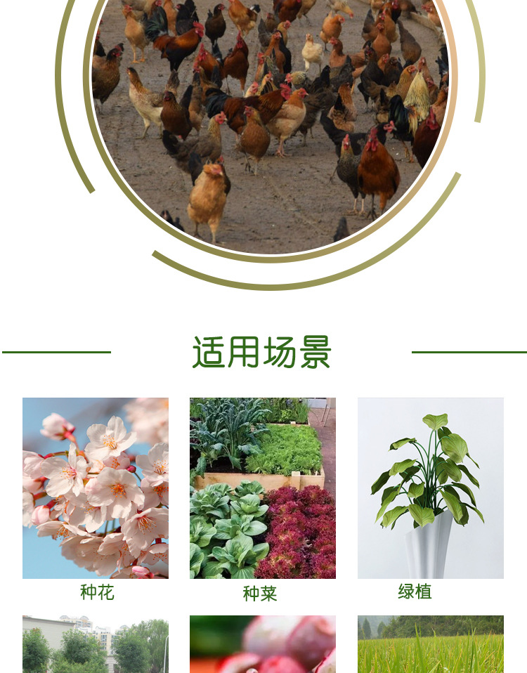 精致有機肥詳情_01.jpg