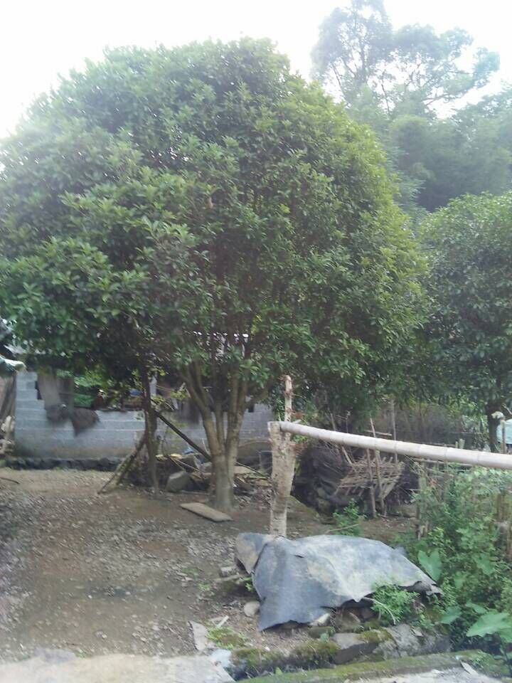 QQ圖片20151016112800