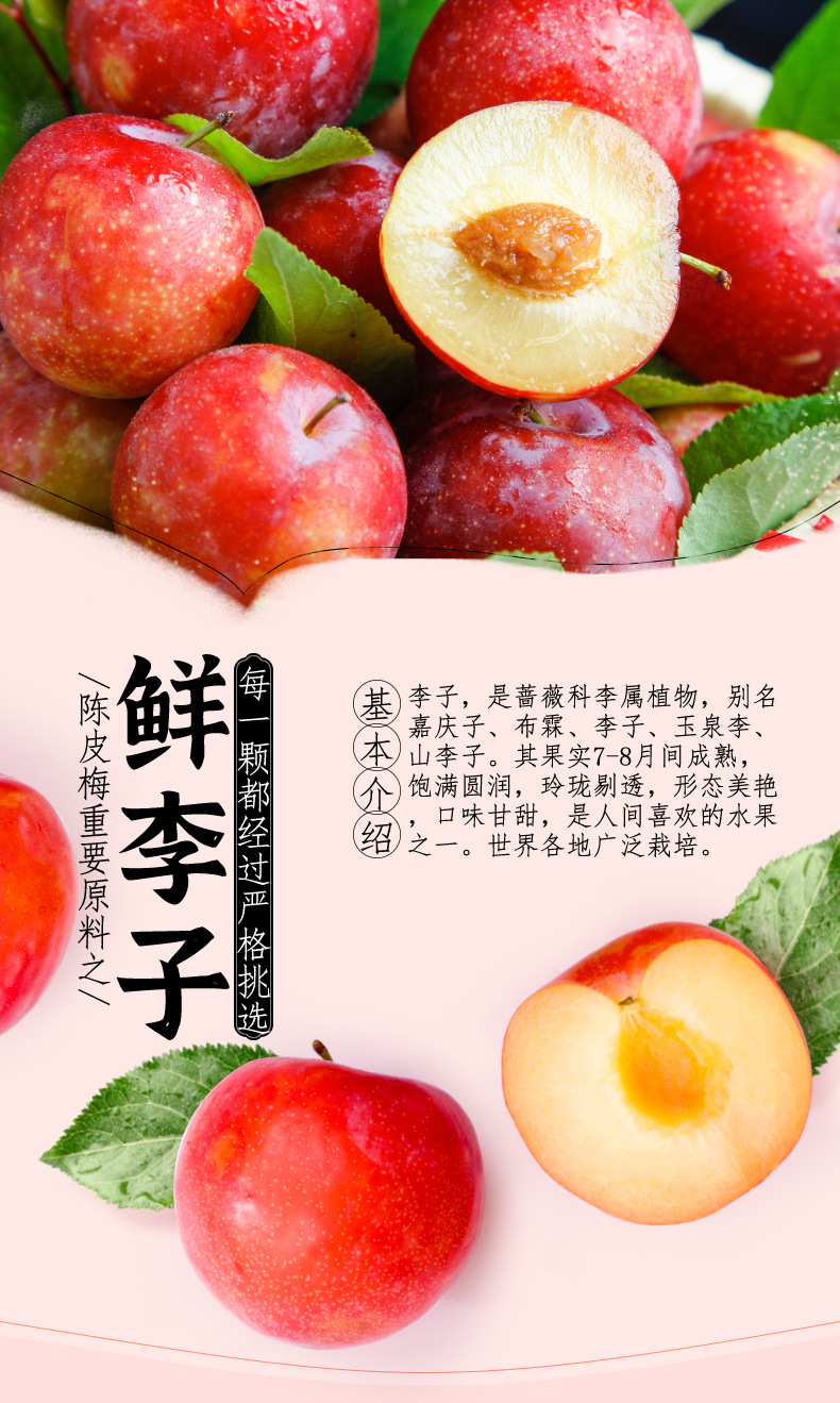 加應(yīng)子and陳皮梅_01.jpg