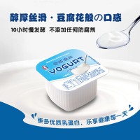 廠家直供 源頭批發(fā)南國乳業(yè)僑港酸奶原味風味酸奶100g*16杯泡沫箱