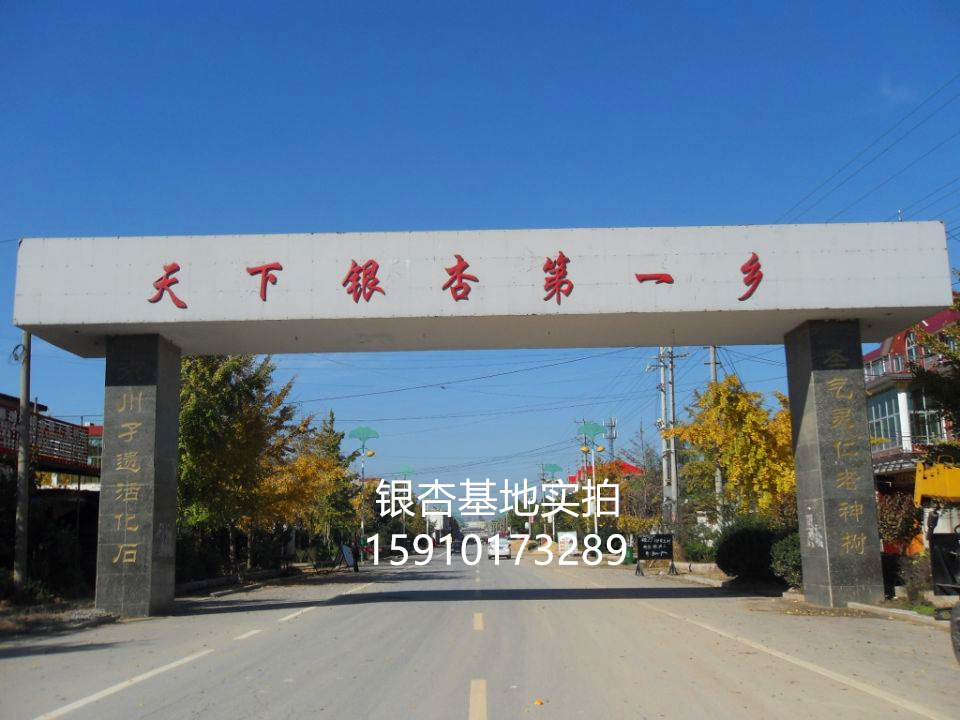 首圖