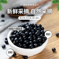 青仁黑豆25公斤裝五谷雜糧廠家批發(fā)經(jīng)銷商進(jìn)貨量大從優(yōu)