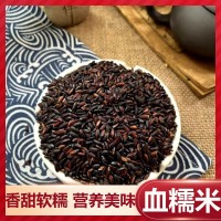 正宗血糯米紫米新米包粽子飯團專用美味軟糯香甜黑糯米黑米大米