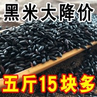東北黑米黑糯米紫米批發(fā)農(nóng)家五谷雜糧黑香米煮粥黑大米糙米