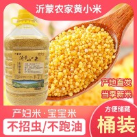 桶裝沂蒙山地小黃米優(yōu)質(zhì)養(yǎng)胃小米粥黃小米五谷雜糧粗糧黃小米