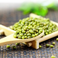 東北綠豆批發(fā)農(nóng)家自產(chǎn)原生態(tài)五谷雜糧綠豆顆粒飽滿(mǎn)真空包裝現(xiàn)貨