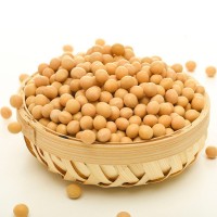 東北黃豆農(nóng)家地種植現(xiàn)貨批發(fā)豆粉末原料真空包裝現(xiàn)貨廠家直銷(xiāo)