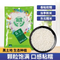 東北糯米200g裝米端午節(jié)新米江米包粽子專(zhuān)用釀酒商用粘米批發(fā)
