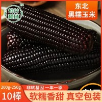 整箱東北黑糯玉米新鮮現摘黏粘甜玉米棒粒真空包裝黑玉米棒批發(fā)