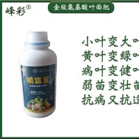 峰彩種植專用EM菌 益生菌原液 廠家直供 優(yōu)惠力度大