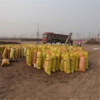 酵素生物雞糞 發(fā)酵有機(jī)肥料批發(fā)銷售 廠家直供有機(jī)肥廠家直銷 改良土壤
