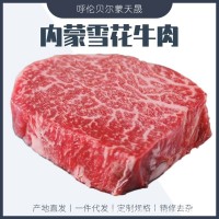 蒙天晟呼倫貝爾雪花牛肉商用火鍋烤肉街頭牛排可拍照備貨一件代發(fā)