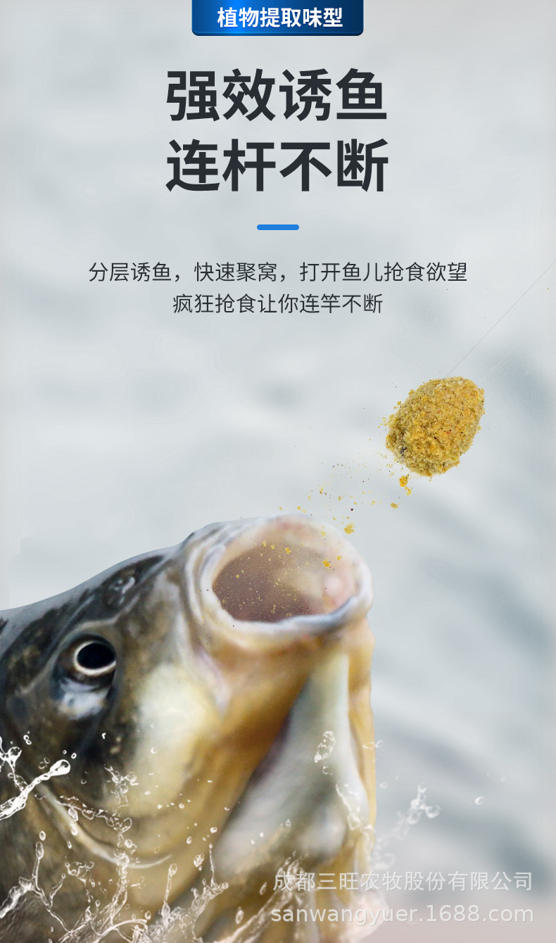 鯉魚(yú)綜合_04.jpg