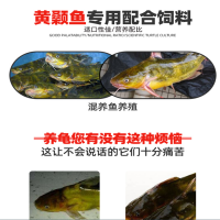 42蛋白 黃古魚膨化漂浮料 高蛋白生長速度快 易消化吸收