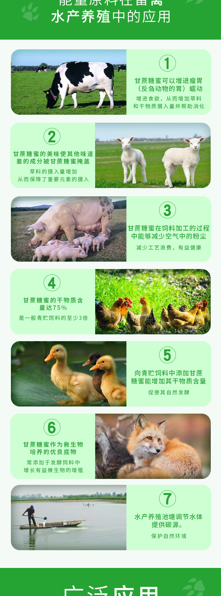 甘蔗糖蜜,糖蜜,糖蜜液,飼料添加劑