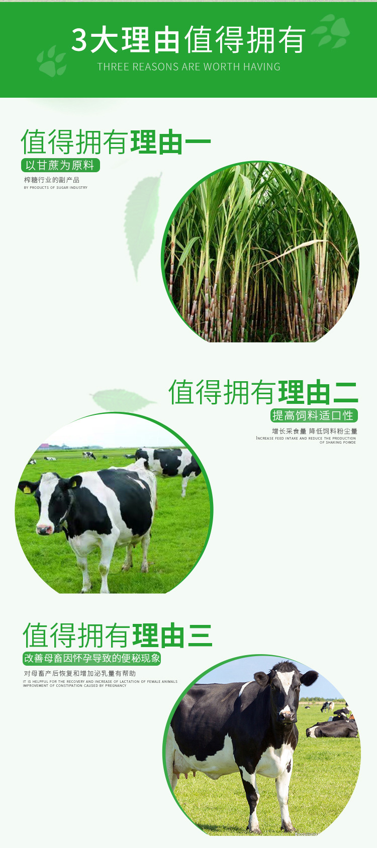 甘蔗糖蜜,廣西甘蔗糖蜜,糖蜜液