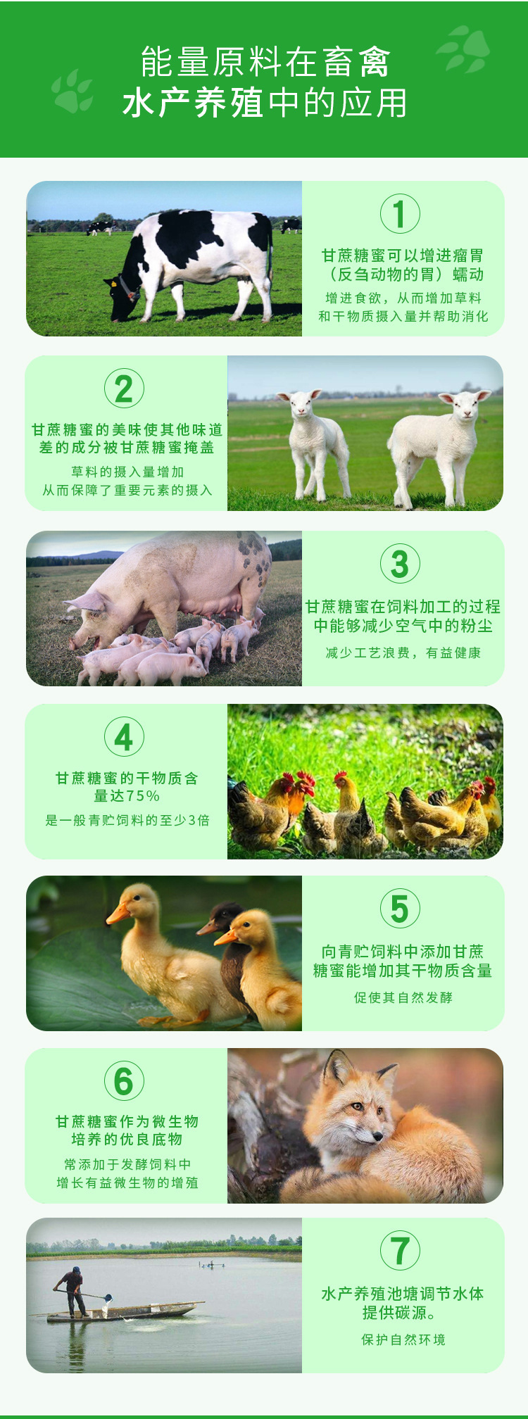 甘蔗糖蜜,廣西甘蔗糖蜜,糖蜜液