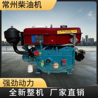 新款柴油機(jī)單缸柴油發(fā)電機(jī)組藍(lán)色水冷發(fā)動(dòng)機(jī)拖拉機(jī)農(nóng)用電啟動(dòng)