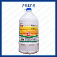 諾普信虎鋤41%草甘膦異丙胺鹽雜草除草劑荒地除草果園茶園除草劑