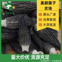 羊肚菌干貨煲湯食材新鮮頭茬大個頭大份量菌菇蘑菇批發(fā)常規(guī)款5-8