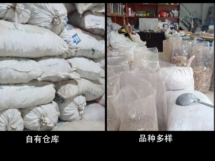 樺樹茸4_17.jpg