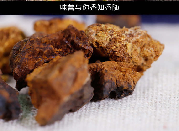 樺樹茸4_11.jpg