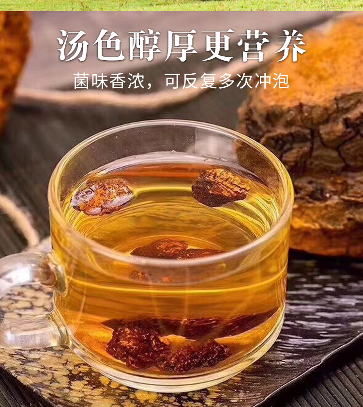 樺樹茸4_04.jpg