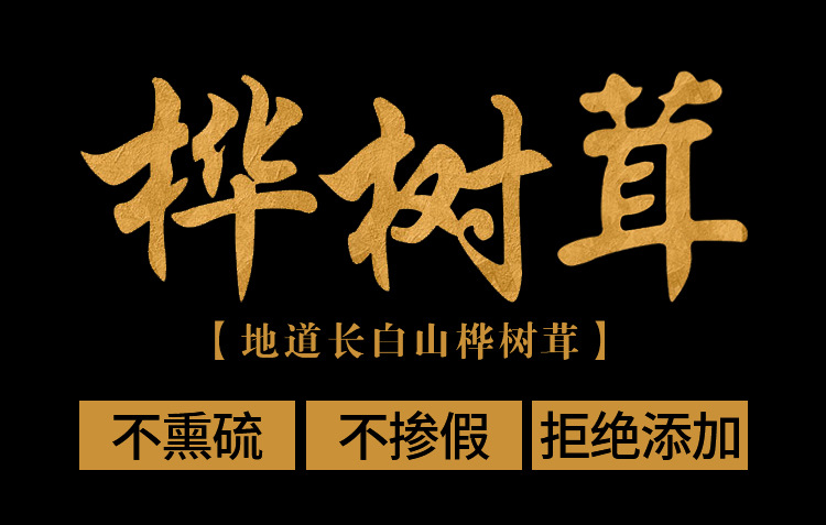 樺樹茸4_01.jpg