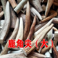 鹿角尖500克 鹿角實心手把件雕刻料原料吉林雙陽鹿場直供免費打粉