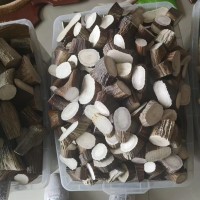 吉林特產(chǎn)投料鹿角塊產(chǎn)地批發(fā)