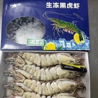 黑虎蝦 鮮活速凍大蝦 草蝦6頭 15頭 20頭全規(guī)格批發(fā) 冷凍水產(chǎn)品