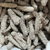 野生淡干黃玉海參滋補食材干貨250克包郵