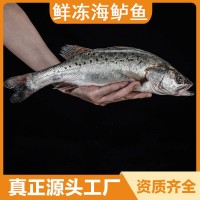 大鱸魚鮮凍海鱸魚海鮮水產(chǎn)七星鱸魚冰凍深海魚海鱸魚水產(chǎn)活魚鮮制