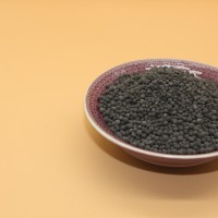 枯草芽孢桿菌微生物菌劑 生物有機(jī)肥 原料菌種菌粉